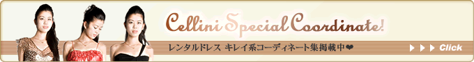 レンタルドレス コーディネート集